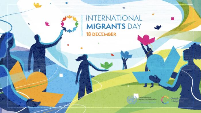 International Migrants Day UN Network on Migration